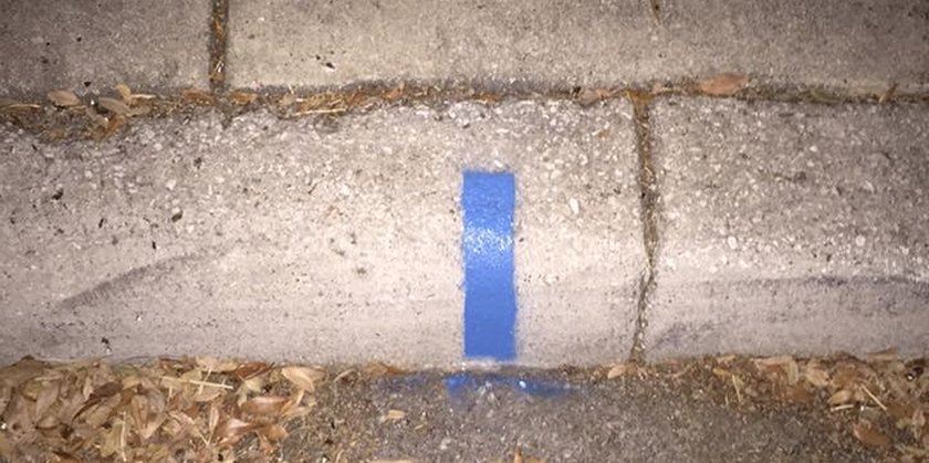 "Thin Blue Lines" have begun popping up across the country (photo: Anthony Welichko)