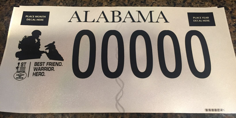 license-plate