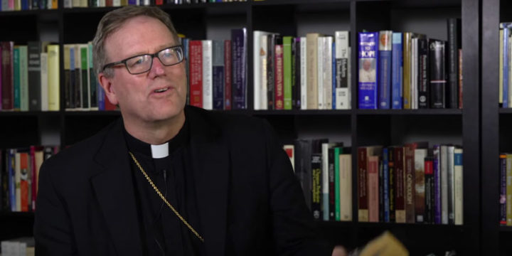 Bishop Robert Barron: Why a religion of grace is better news than a ...