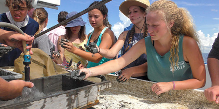 Alabama’s Dauphin Island Sea Lab teaches more than science ...