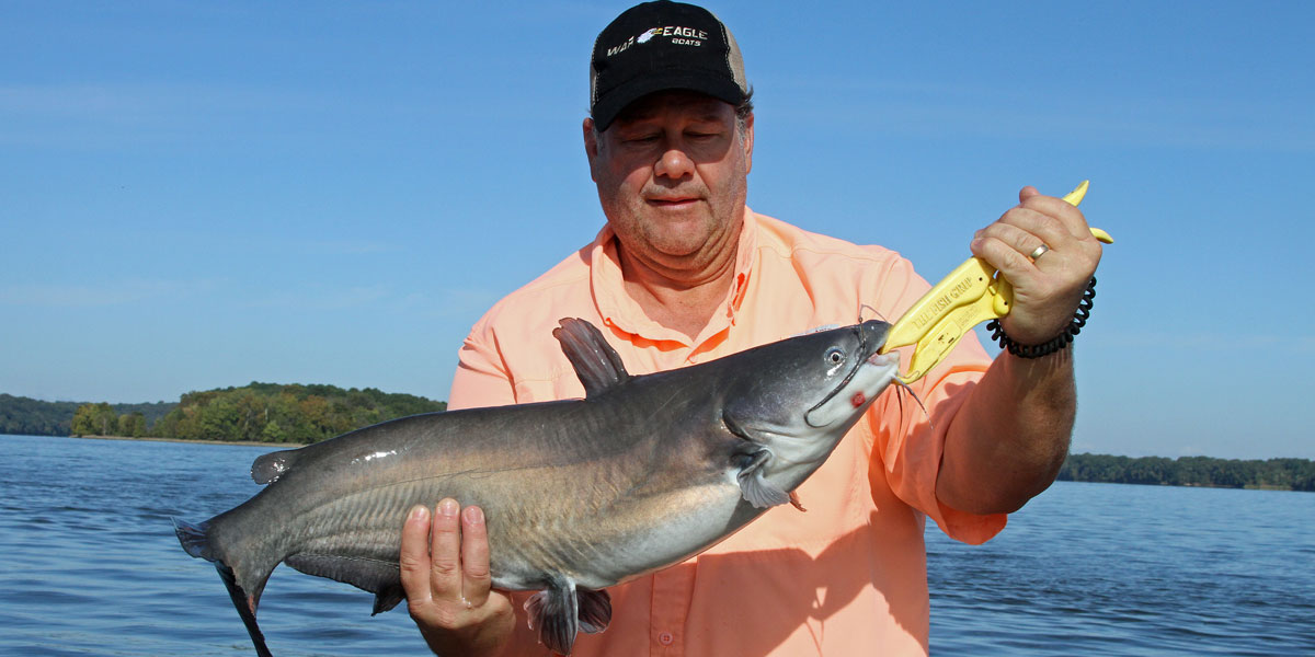 Live-bait fishing at Pickwick yields variety of fish species - Yellowhammer News