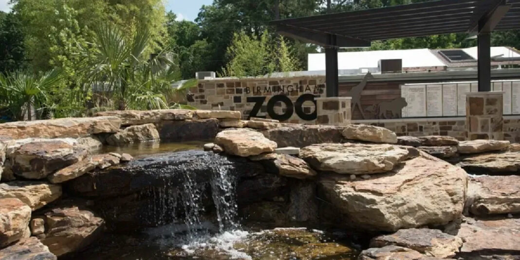 Wild at Heart party will boost education at Birmingham Zoo