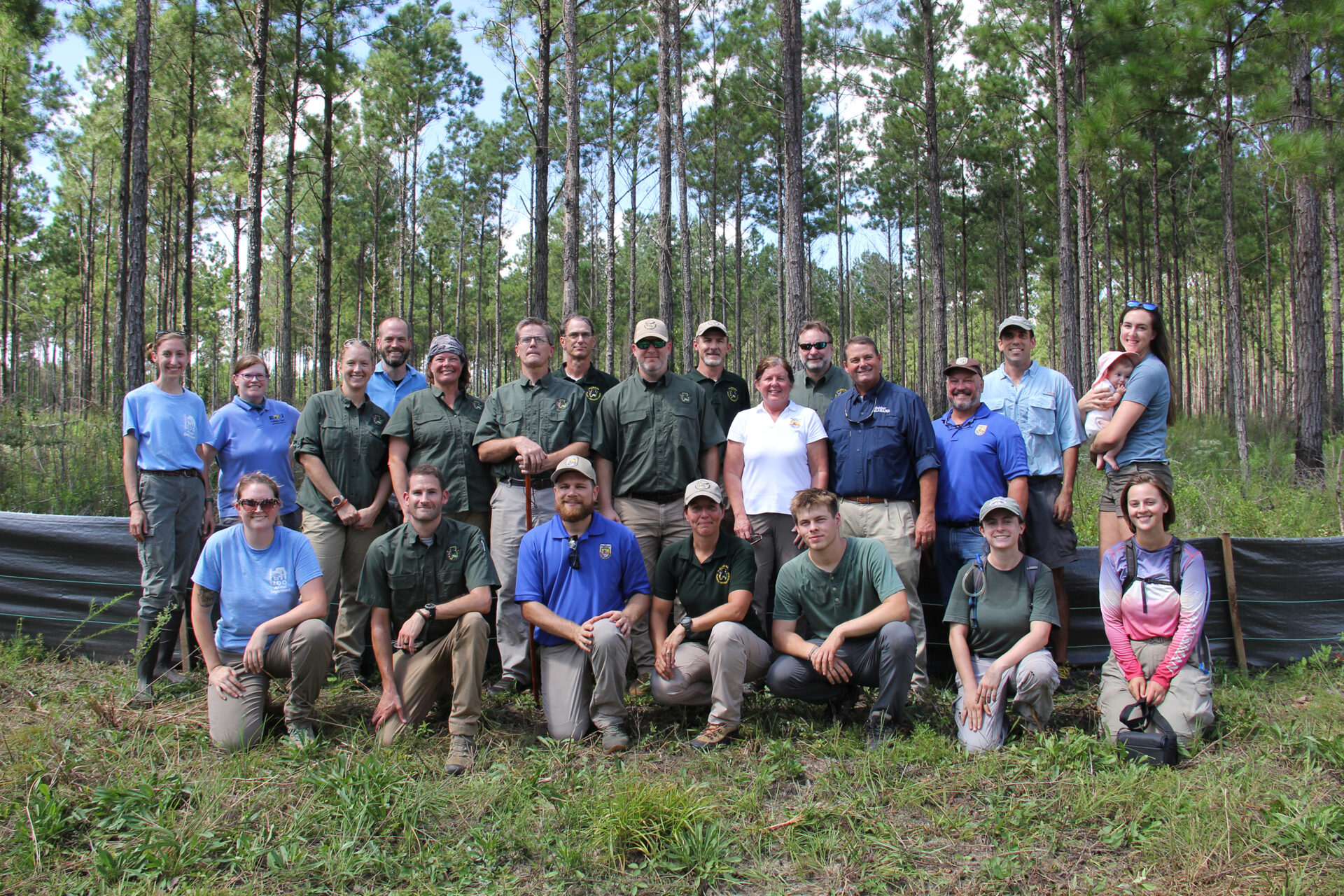 Gopher tortoise gets boost in South Alabama - Yellowhammer News