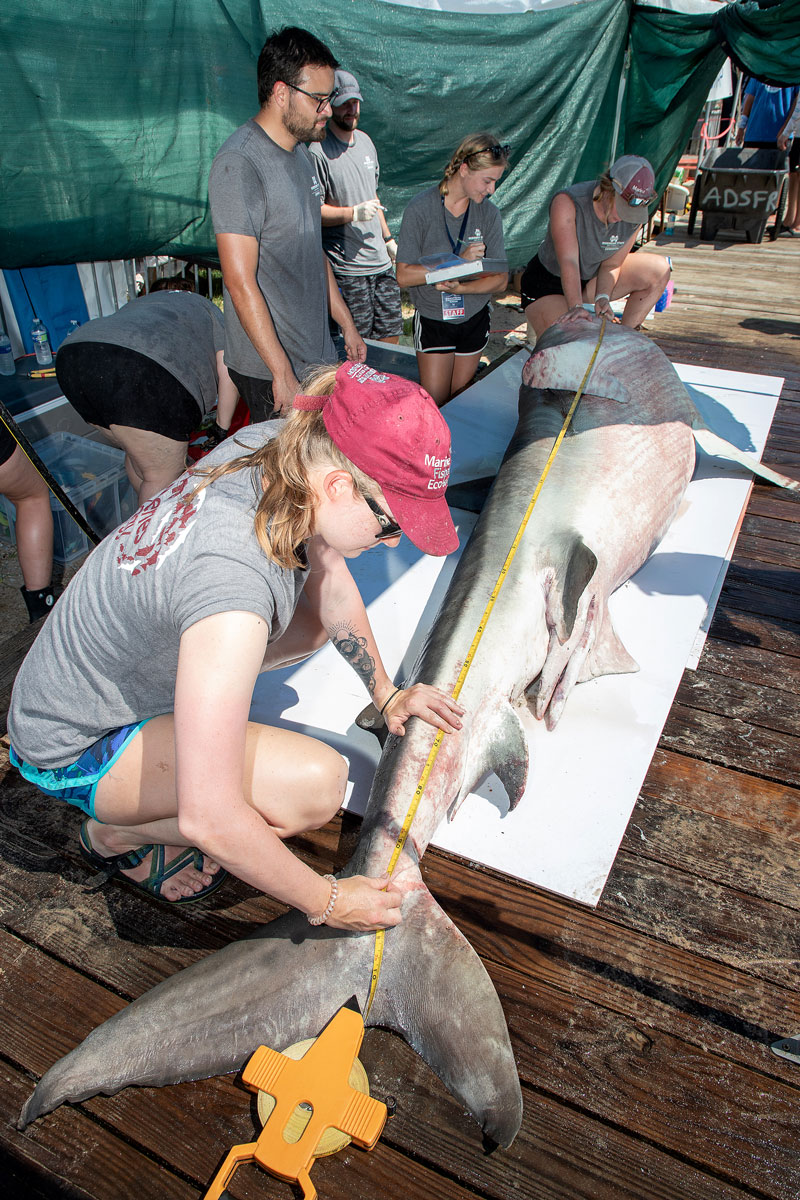 David Rainer: Large turnout expected for Deep Sea Fishing Rodeo