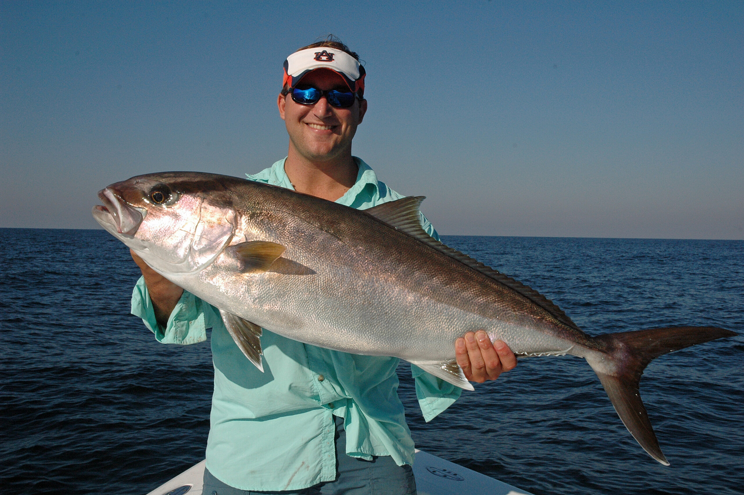 Amberjack, Greater - South Atlantic Fishery Management Council