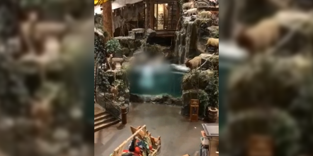 Alabama man arrested after skinny dipping in Bass Pro Shops aquarium