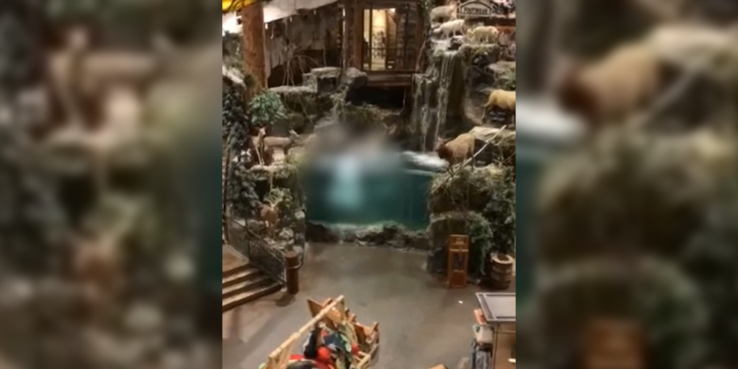 Alabama man arrested after skinny dipping in Bass Pro Shops aquarium ...