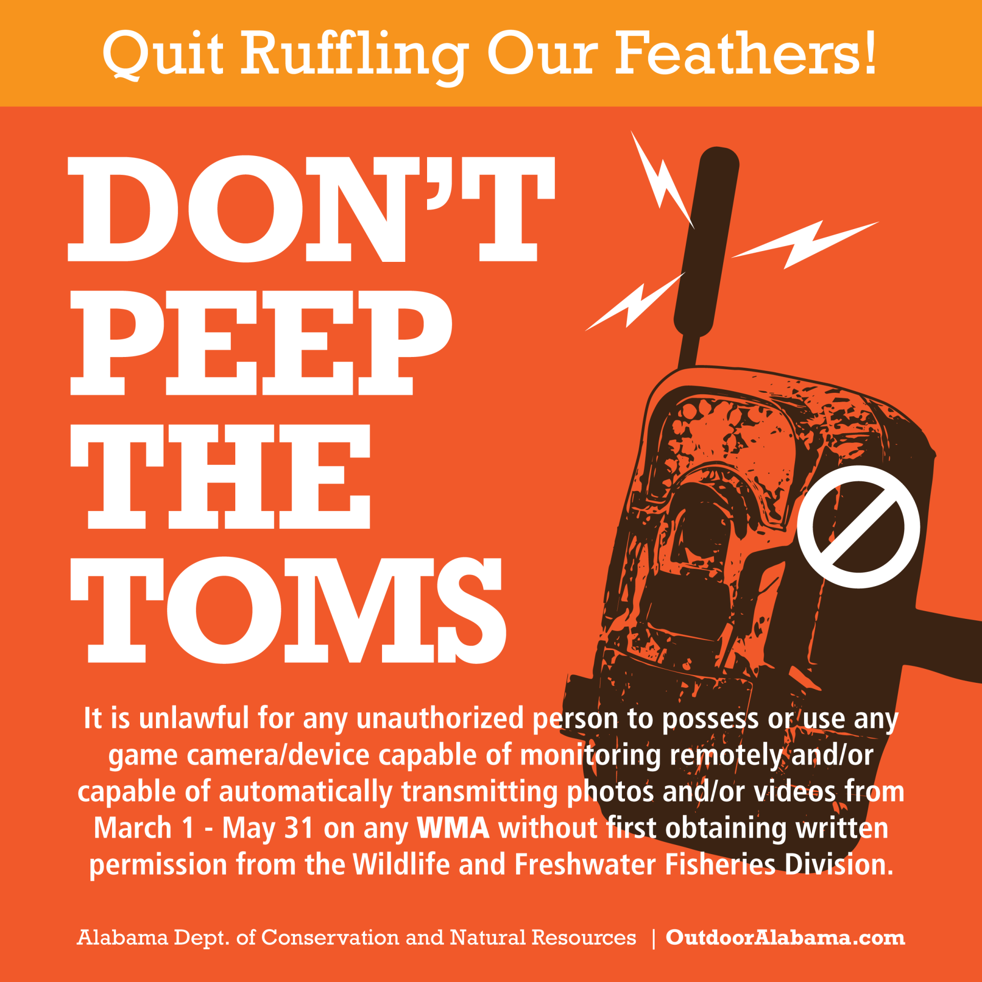 David Rainer: Be sure of turkey season dates, WMA regulations