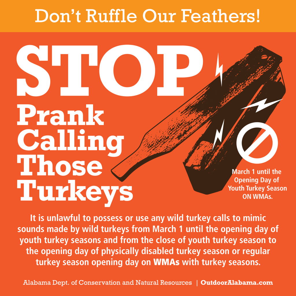 David Rainer: Be sure of turkey season dates, WMA regulations