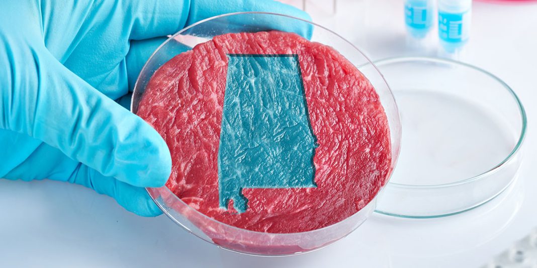 Alabama leads state-level push to ban lab-grown meat products ...
