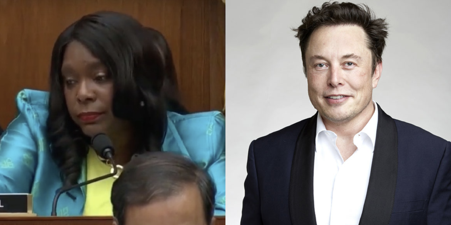 Terri Sewell blames 'co-President' Elon Musk for 'ordered' government ...