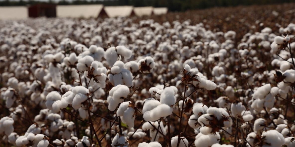 Farm country hails Senate passage of “Big, Beautiful Bill”