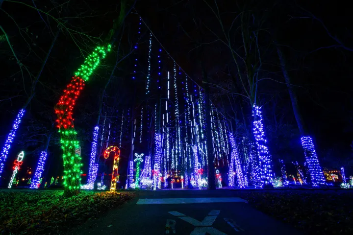 Christmas at the Falls