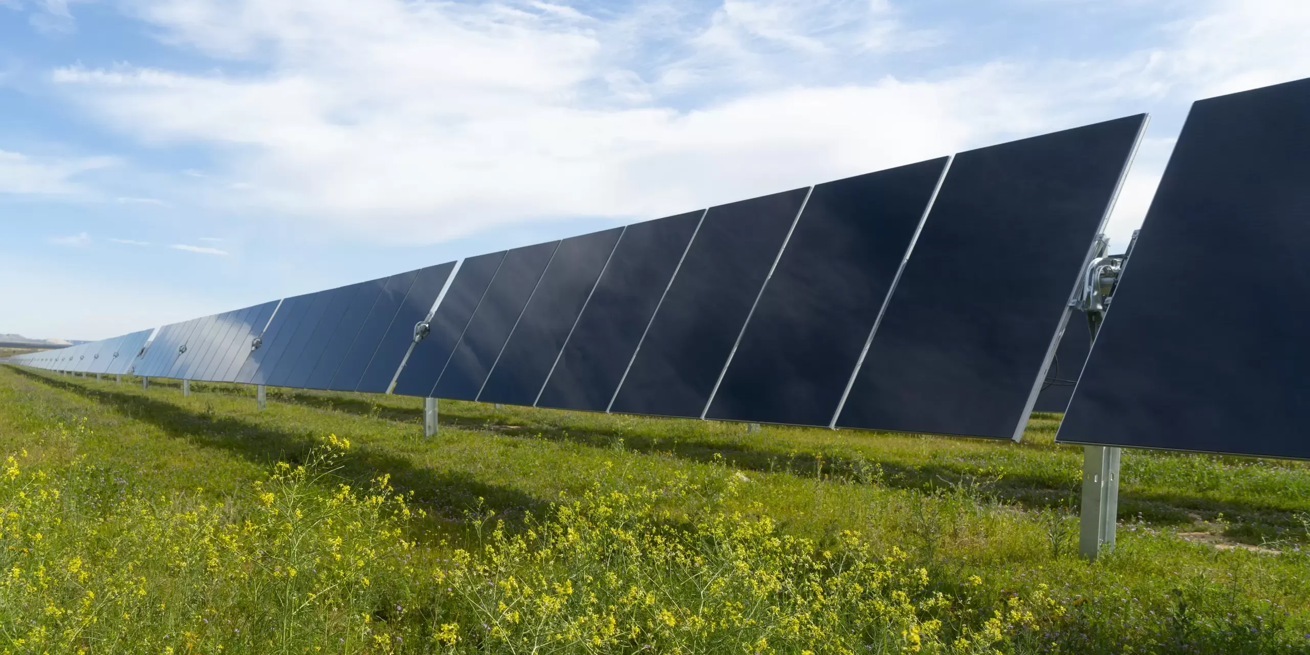 Trump Alabama manufacturing