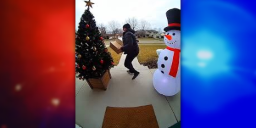 Porch Pirate