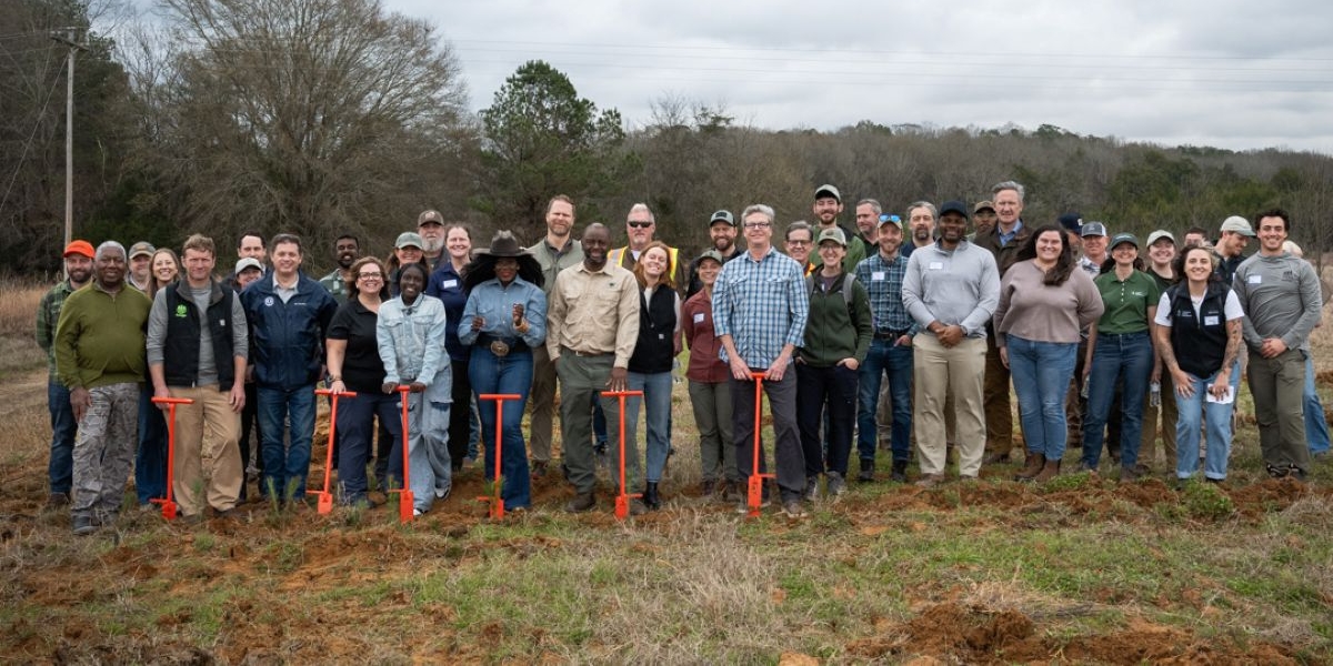American Forest Foundation plants millionth tree, expanding income opportunities for Alabama landowners