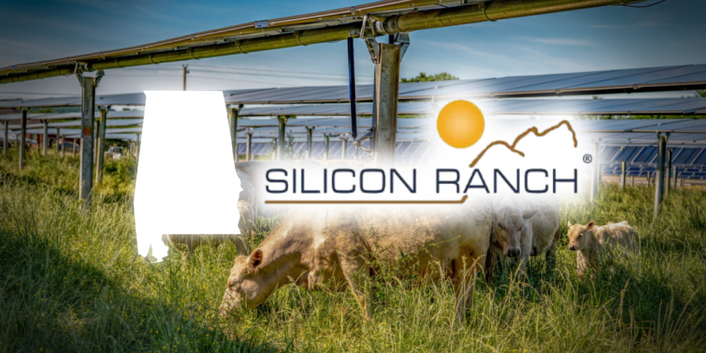 Silicon Ranch Baldwin County