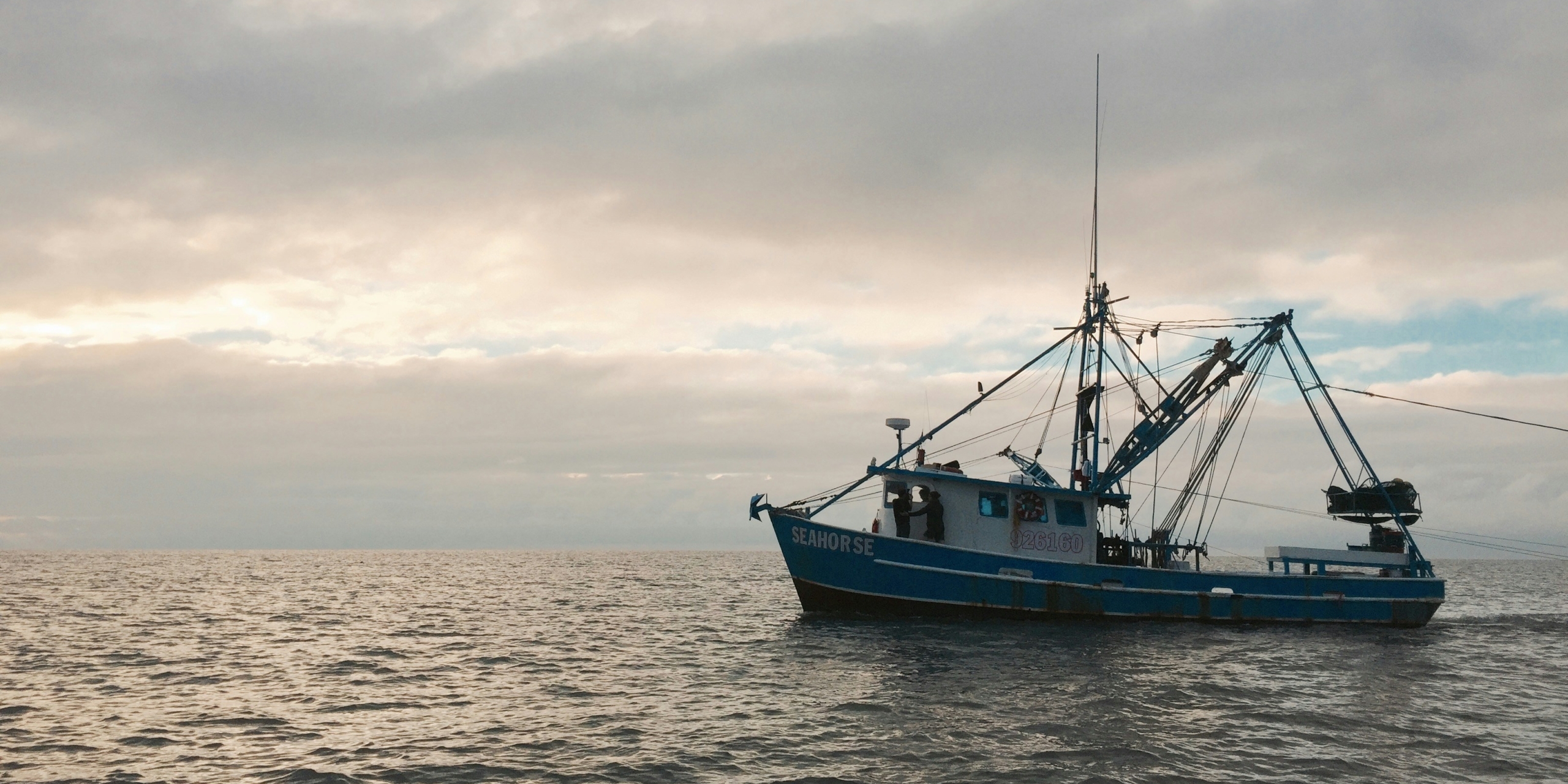 Alabama state waters open for shrimping season June 1