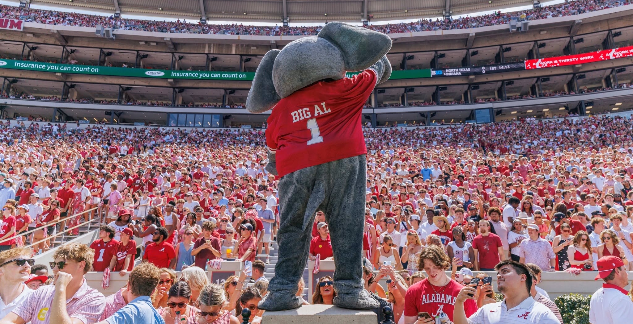 The University of Alabama